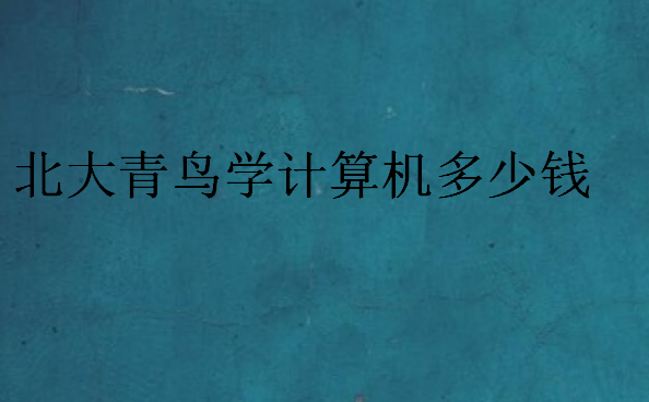 北大青鳥學(xué)計(jì)算機(jī)多少錢