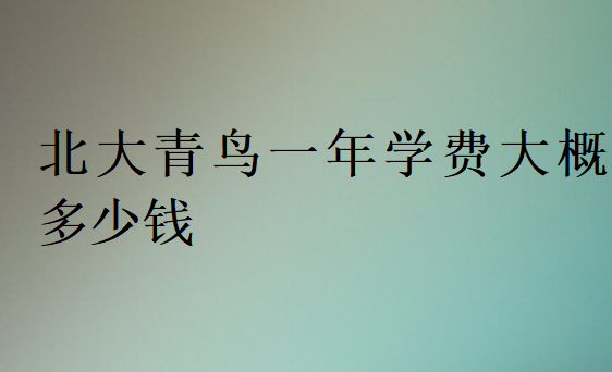 北大青鳥一年學費大概多少錢